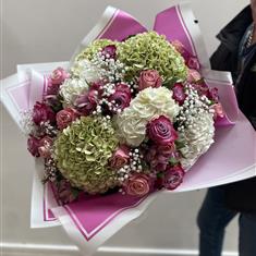 rose and hydrangea special